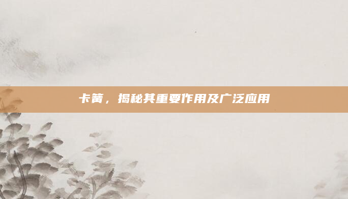 卡簧，揭秘其重要作用及广泛应用
