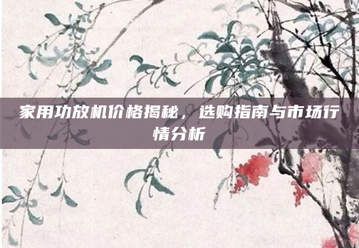 家用功放机价格揭秘，选购指南与市场行情分析