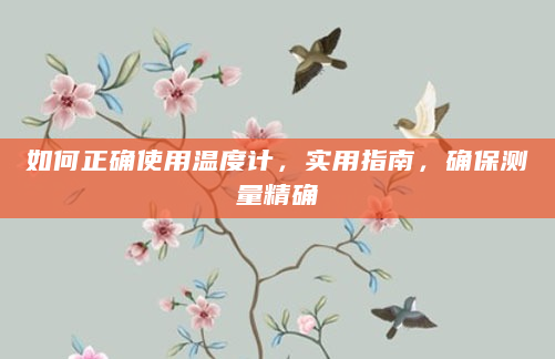 如何正确使用温度计，实用指南，确保测量精确