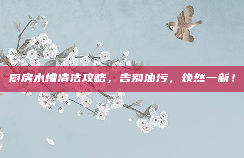 厨房水槽清洁攻略，告别油污，焕然一新！
