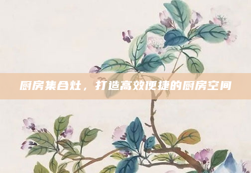 厨房集合灶，打造高效便捷的厨房空间