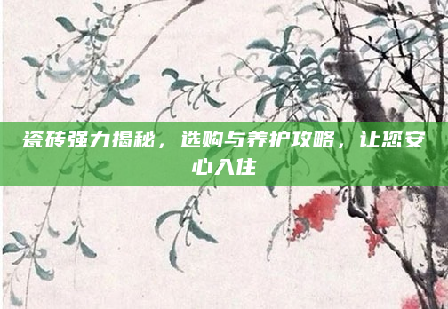 瓷砖强力揭秘，选购与养护攻略，让您安心入住