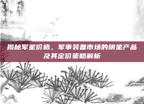 揭秘军星价格，军事装备市场的明星产品及其定价策略解析