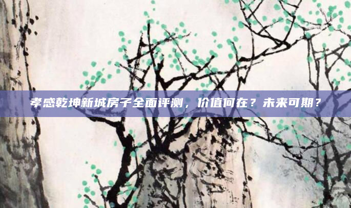 孝感乾坤新城房子全面评测，价值何在？未来可期？