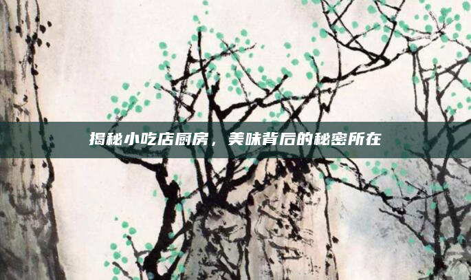 揭秘小吃店厨房，美味背后的秘密所在