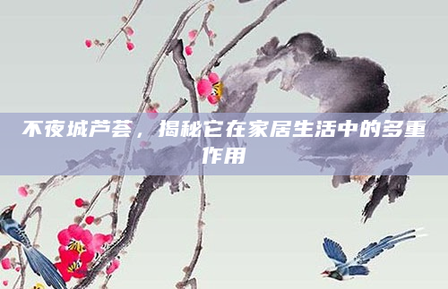 不夜城芦荟，揭秘它在家居生活中的多重作用
