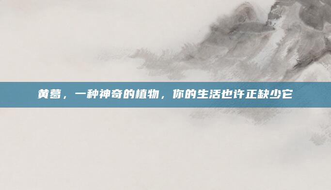黄葛，一种神奇的植物，你的生活也许正缺少它