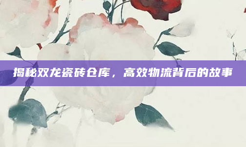 揭秘双龙瓷砖仓库，高效物流背后的故事