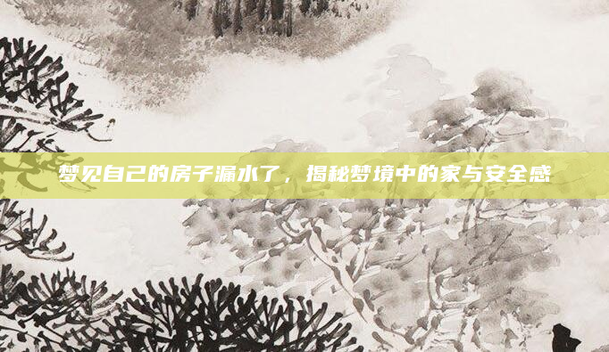 梦见自己的房子漏水了，揭秘梦境中的家与安全感