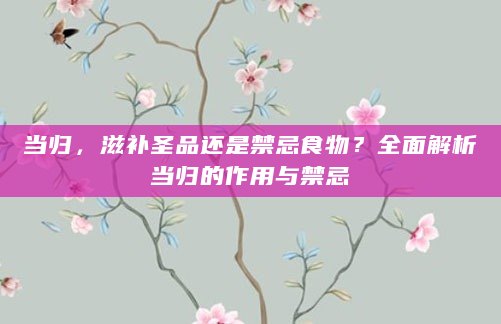 当归，滋补圣品还是禁忌食物？全面解析当归的作用与禁忌