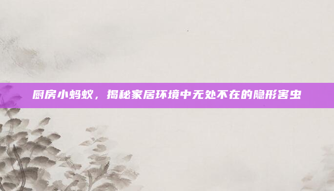 厨房小蚂蚁，揭秘家居环境中无处不在的隐形害虫