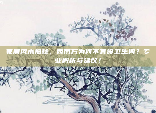家居风水揭秘，西南方为何不宜设卫生间？专业解析与建议！