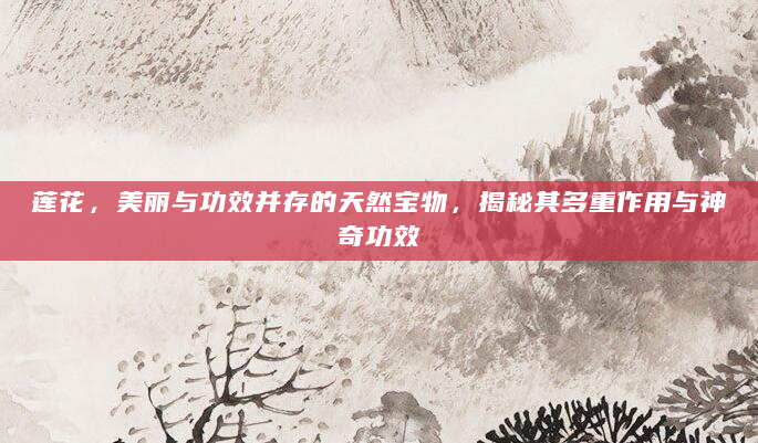 莲花，美丽与功效并存的天然宝物，揭秘其多重作用与神奇功效