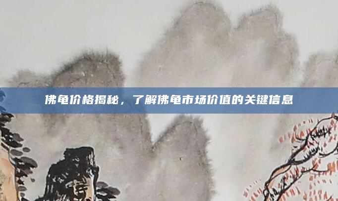 佛龟价格揭秘，了解佛龟市场价值的关键信息