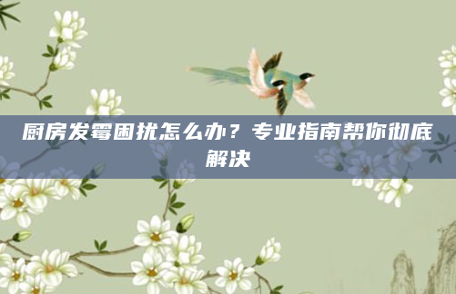 厨房发霉困扰怎么办？专业指南帮你彻底解决