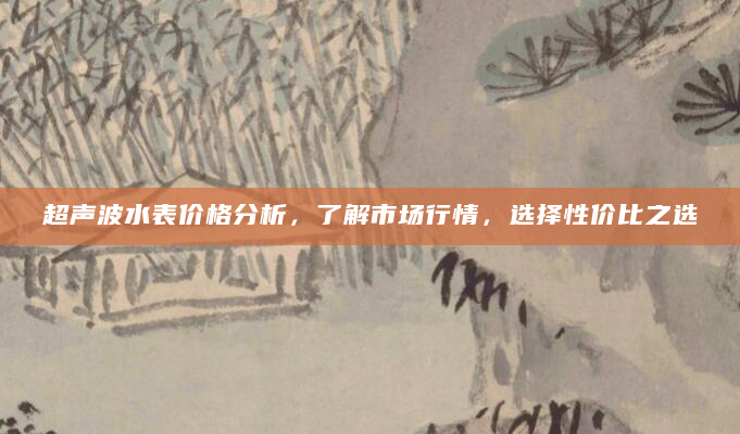 超声波水表价格分析，了解市场行情，选择性价比之选