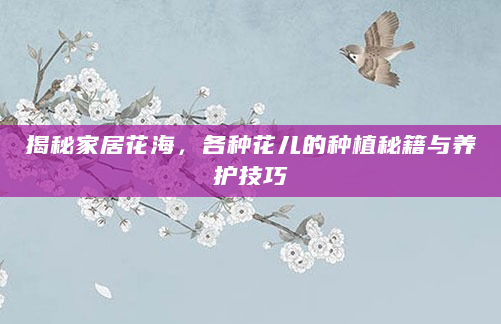 揭秘家居花海，各种花儿的种植秘籍与养护技巧