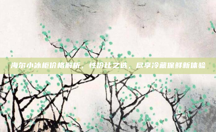 海尔小冰柜价格解析，性价比之选，尽享冷藏保鲜新体验