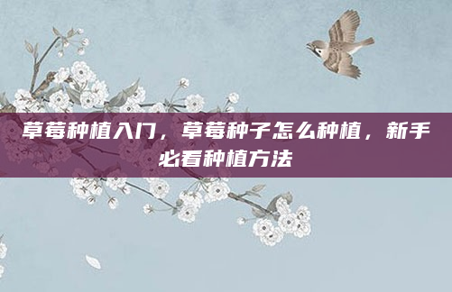 草莓种植入门，草莓种子怎么种植，新手必看种植方法