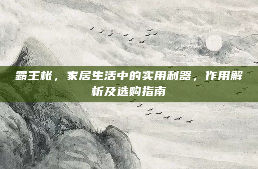 霸王枨，家居生活中的实用利器，作用解析及选购指南