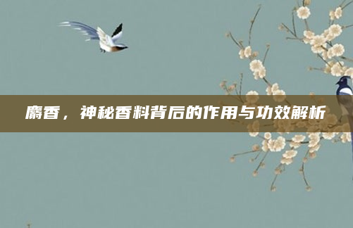 麝香，神秘香料背后的作用与功效解析