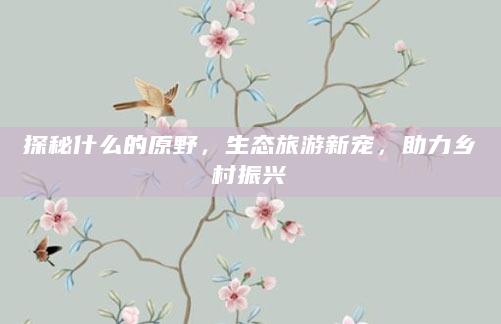 探秘什么的原野，生态旅游新宠，助力乡村振兴