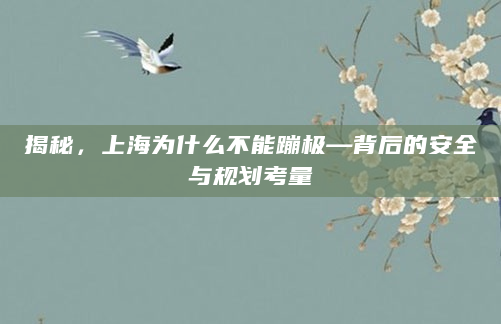 揭秘，上海为什么不能蹦极—背后的安全与规划考量