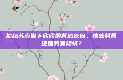 揭秘苏南抛下欣欣的背后原因，情感纠葛还是另有隐情？