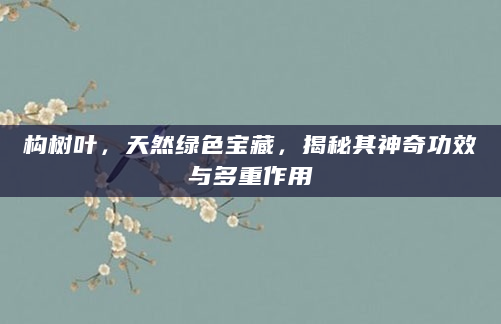构树叶，天然绿色宝藏，揭秘其神奇功效与多重作用