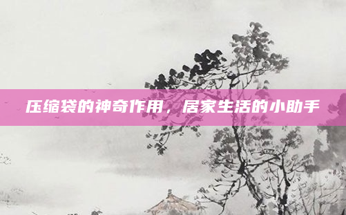 压缩袋的神奇作用，居家生活的小助手