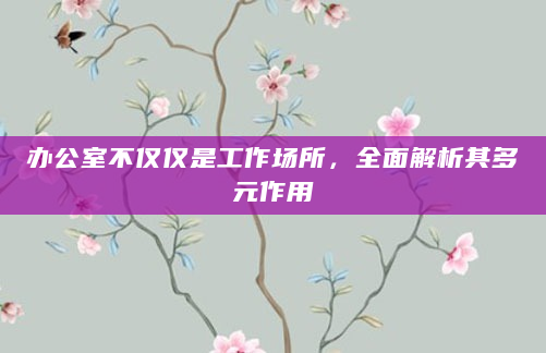 办公室不仅仅是工作场所，全面解析其多元作用