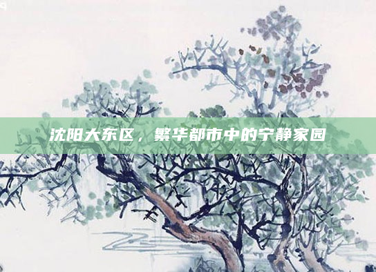沈阳大东区，繁华都市中的宁静家园