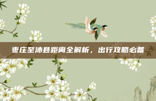 枣庄至沛县距离全解析，出行攻略必备