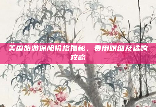 美国旅游保险价格揭秘，费用明细及选购攻略