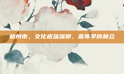 杭州市，文化底蕴深厚，高等学府林立