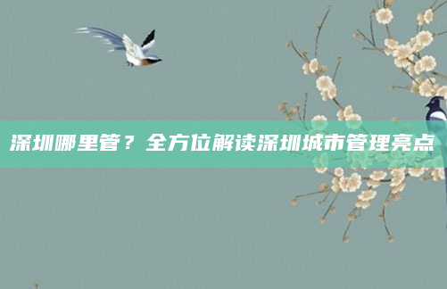 深圳哪里管？全方位解读深圳城市管理亮点