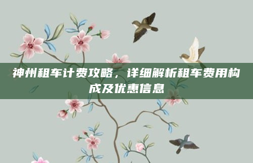 神州租车计费攻略，详细解析租车费用构成及优惠信息