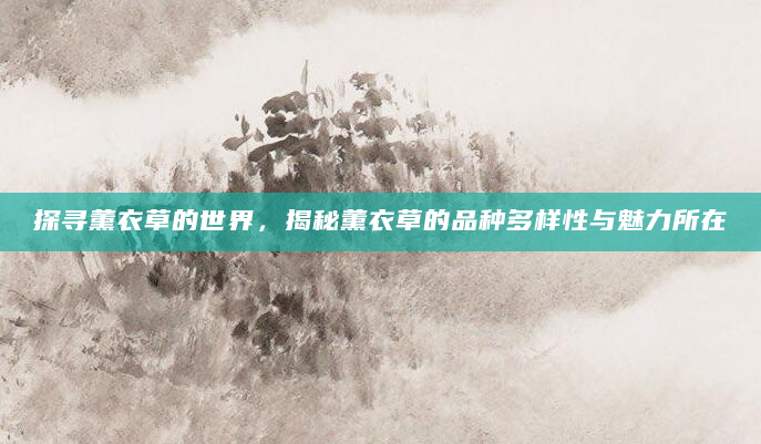 探寻薰衣草的世界，揭秘薰衣草的品种多样性与魅力所在