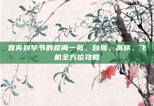 宜宾到毕节的距离一览，自驾、高铁、飞机全方位攻略