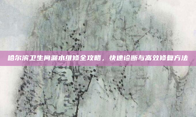 哈尔滨卫生间漏水维修全攻略，快速诊断与高效修复方法