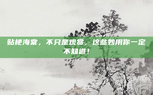 贴梗海棠，不只是观赏，这些妙用你一定不知道！