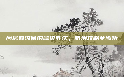 厨房有沟鼠的解决办法，防治攻略全解析