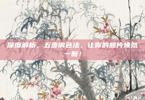 深度解析，五步调色法，让你的照片焕然一新！