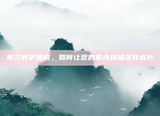 吊兰养护指南，如何让您的室内绿植茁壮成长