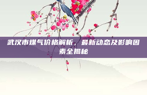 武汉市煤气价格解析，最新动态及影响因素全揭秘