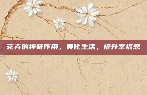 花卉的神奇作用，美化生活，提升幸福感