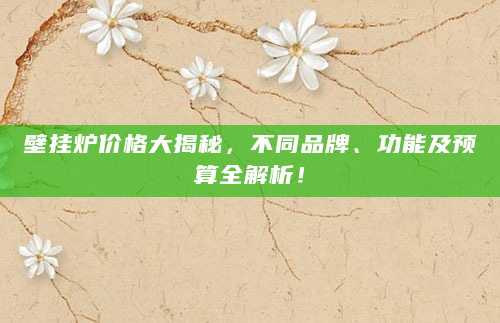 壁挂炉价格大揭秘，不同品牌、功能及预算全解析！