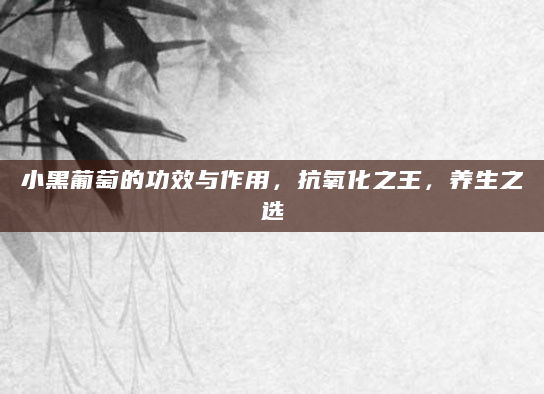 小黑葡萄的功效与作用，抗氧化之王，养生之选