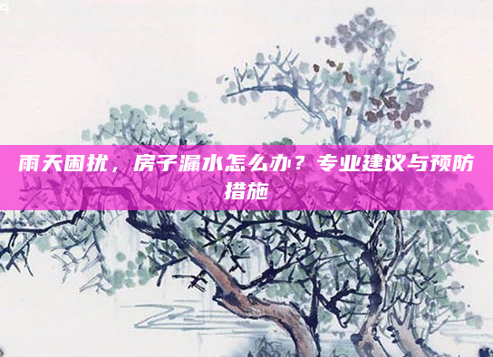 雨天困扰，房子漏水怎么办？专业建议与预防措施