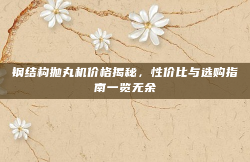 钢结构抛丸机价格揭秘，性价比与选购指南一览无余